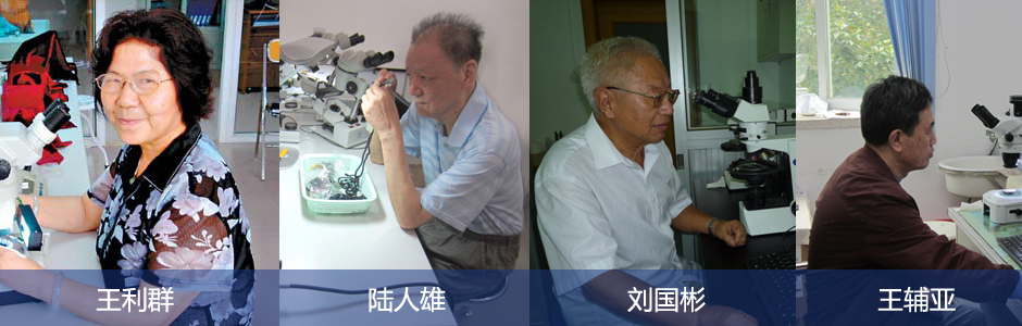 专家介绍